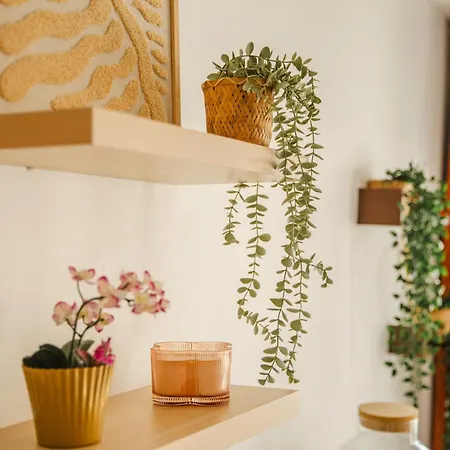 Διαμέρισμα La Fregate Piscine Terrasse Centre