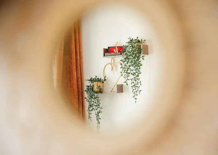 Apartment La Fregate Piscine Terrasse Centre *