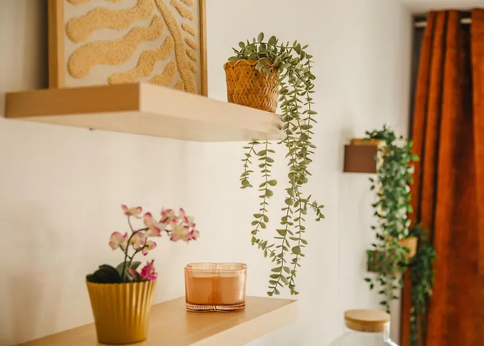 Apartment La Fregate Piscine Terrasse Centre